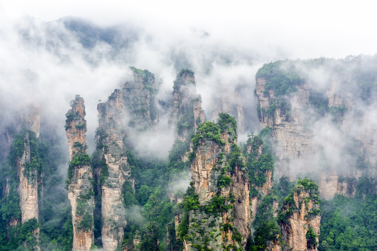 Forested sandstone pillars rising through mist in Zhangjiajie