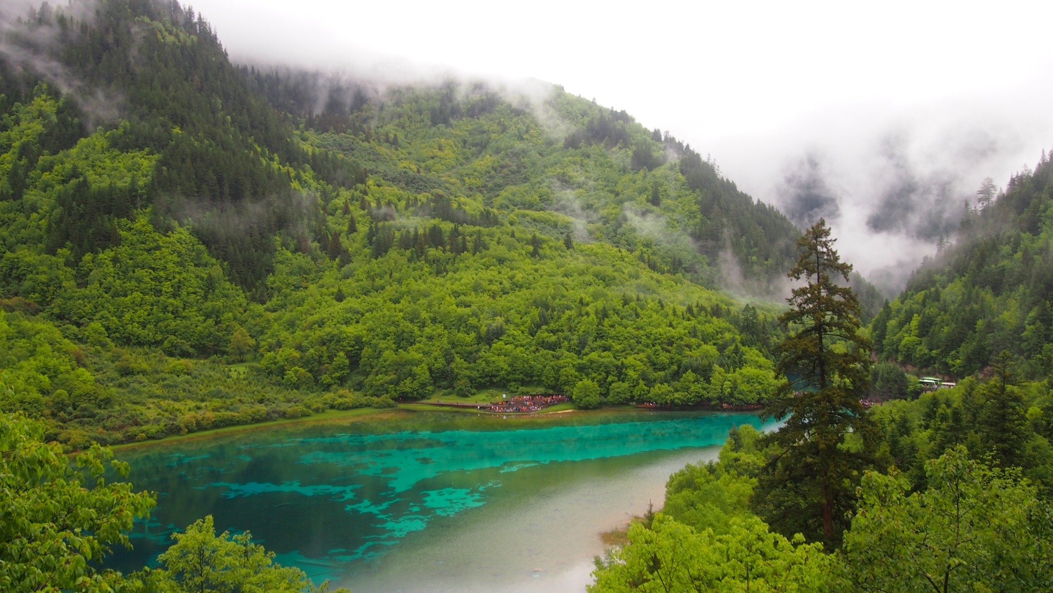 Turquoise lake surrounded by lush forested mountains and drifting mist